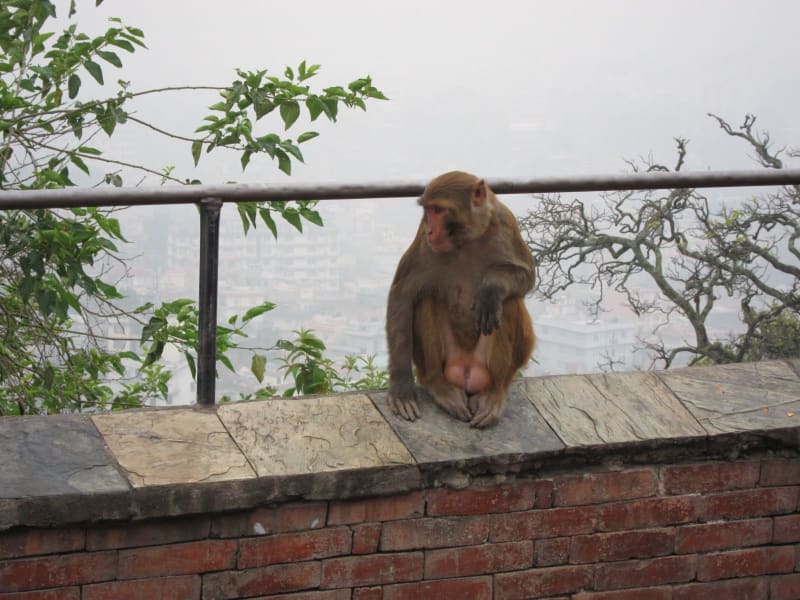 image038_6424372899_o_e7wati