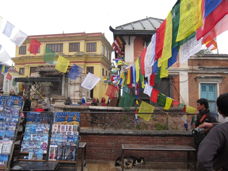image047_6424375237_o_g2zgwa