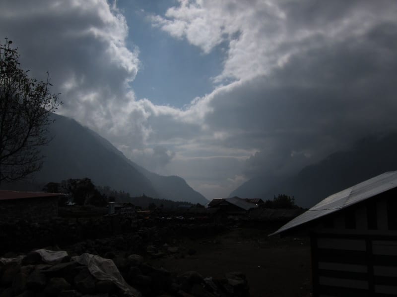 image182_6424407891_o_tsnuia