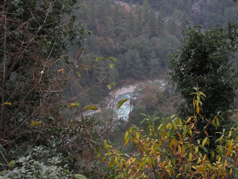 image199_6424412751_o_zhunoz