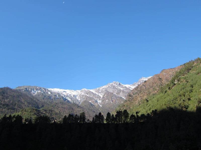 image218_6424418183_o_qxqojk