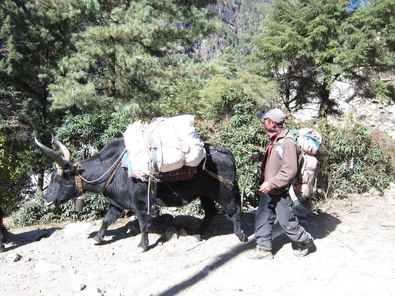 image236_6424423949_o_otfyrx
