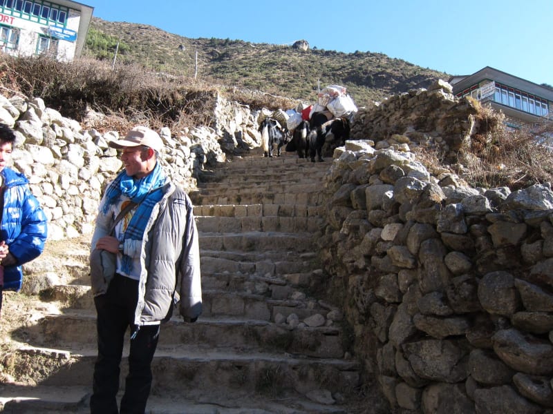 image256_6424429157_o_eqyaiw
